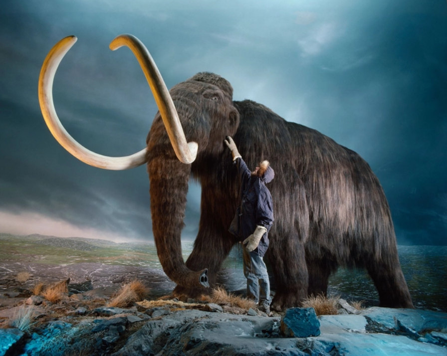 conocer más sobre mamut lanudo